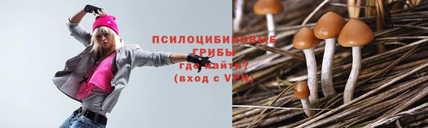 гидра Арсеньев